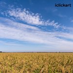 농부가 좋은 <b>열매</b>를 맺기 위하여