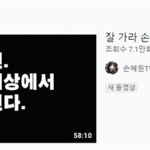 손혜원, 숨진 남동생에 "거짓말 떠들며 자기 명 <b>재촉</b>···잘가라"