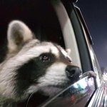 창 밖을 보는 <b>서누</b>