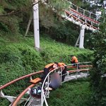 알바생 놀이기구에 다리 껴 절단…<b>이월드</b> 대표 ‘벌금형’