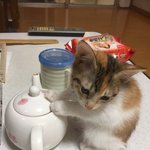 엠비티아이 너무 <b>질려</b>