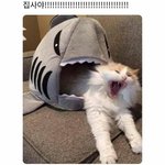 좋아하면 눈빛으로 티나는거
