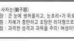 나 <b>사자</b>눈이야??