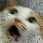 [조언부탁해] 나 주의력결핍장애같은데