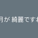 [댓글부탁해] 일본어 잘 하는 사람 <b>드루왕</b>