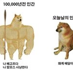 [드루와] 몸매 개쩗 얼굴 구림 VS 몸매 구린데 <b>Ss</b>급얼굴