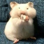 마라탕에 <b>후추</b> 넣어 먹으면 좀 덜 느끼할라나