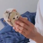 [모두드루와] 판에서 덕질하다보니 느낀 거