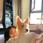 제주도 살면 급식으로