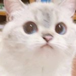 확진자에 조두순에 오늘 ㅈㄴ<b>어수선</b>