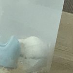 <b>햄스터</b> 화장실감