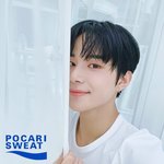 [NCT즌] <b>포카리</b> 정우