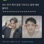 누가 우리애들 볼<b>하트</b>좀 알려줘