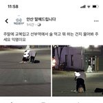 익스트림 <b>안산</b>ㅁ