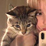 호모에 이제 막 눈에뜬 사람이 본 알페스