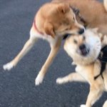 조두순 주변에 사는 <b>주민</b>들은 진짜 뭔죄냐