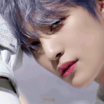 [NCT즌] <b>양양</b>이 너무 젛아