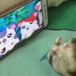 [댓글부탁해] +) <b>소외</b>당하는 느낌 추반좀 해주라