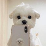 이거 ㅈㄴ 욕쳐먹을 <b>일임</b>?