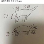 [드루와] 강아지 상체 <b>하체</b> 논란