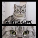 [19] 애들아 머리 염색 <b>뭔</b> <b>색</b>할까