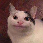 [드루와] 난 <b>사생들</b>이 썰 푸는 거 안 믿음