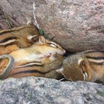 [드루와] 나랑 덥 븨앱할 때 해외팬인 척 할 사람