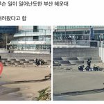 해운대에 <b>시체</b> 나왔대