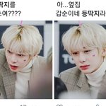 난 팬덤 중에 몬<b>베베</b>가 제일 재밌음ㅋㅋㅋㅋ