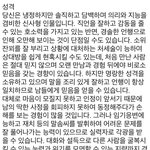 사주 너무 믿으면 호구녀?