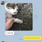 언니가 이런 거 보내줌ㅋㅋ큐ㅠㅠ