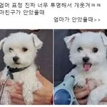 [댓글부탁해] 동그란 얼굴엔 <b>무슨머리</b>가 잘어울려?