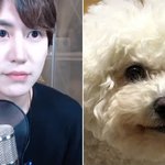 ~<b>할</b><b>거</b>같은데 ~인 연예인 있어?