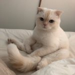 이거 호감임??