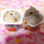 <b>도영</b>정우세훈준면 내남편임;