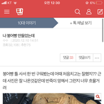 아 이거 반응 ㅈㄴ 웃기네