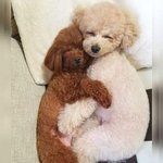 경이로운 <b>소문</b> 무서워??
