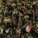 [댓글부탁해] 여드름 ..<b>미방</b>