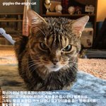 나 증말 <b>화난</b>거 아니다옹