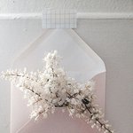 봄이 오길 바라는 <b>꽃들</b>