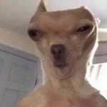 니네만약 이번 크리스<b>마쓰</b>에 짝남 만나면 뭐 하고놀거임?