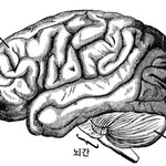 <b>뇌절</b>