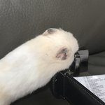 [19] 길고 큰...