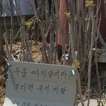 <b>마라탕</b> 주문 했는데 16000원 ㄱㅊ음??