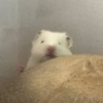 [댓글부탁해] 아 진짜 존 나 웃김ㅋㅋㅋ <b>교육청</b>에서 전화