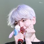 <b>변백현</b>