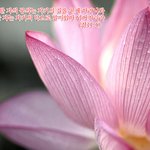 [회개] 코로나 백신 당장  <b>수입</b>은 불가능한가요