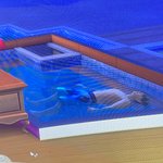 [드루와] 심즈 <b>익사</b> 왜 안되징 ;;