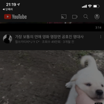 유튜브 <b>서버</b> 시크릿모드 하면 켜짐