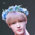 [댓글부탁해] 내가 요즘 빠진 남돌